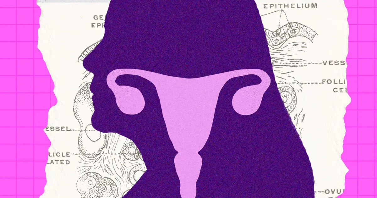 The Ovary Is Surprisingly Active After Menopause. Scientists Are Trying to Figure Out Why