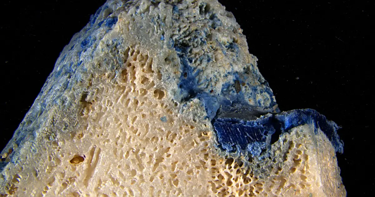 Plastic Is Melting Onto Corals