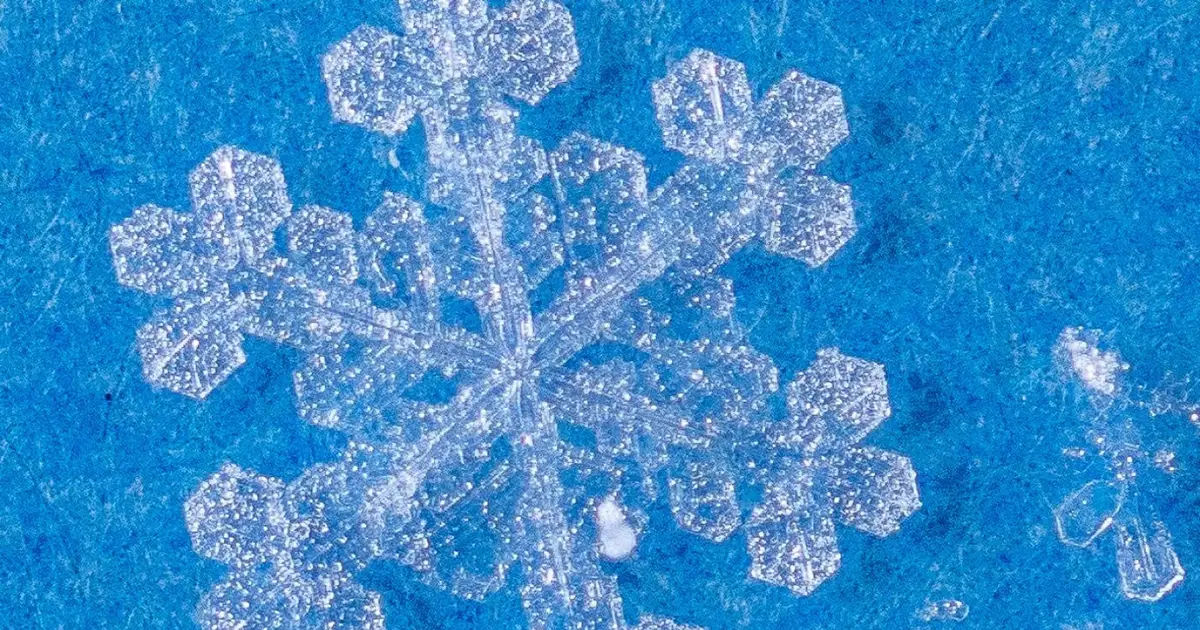 Can Snowflake’s Premium Valuation Survive a Shifting Cloud Landscape?