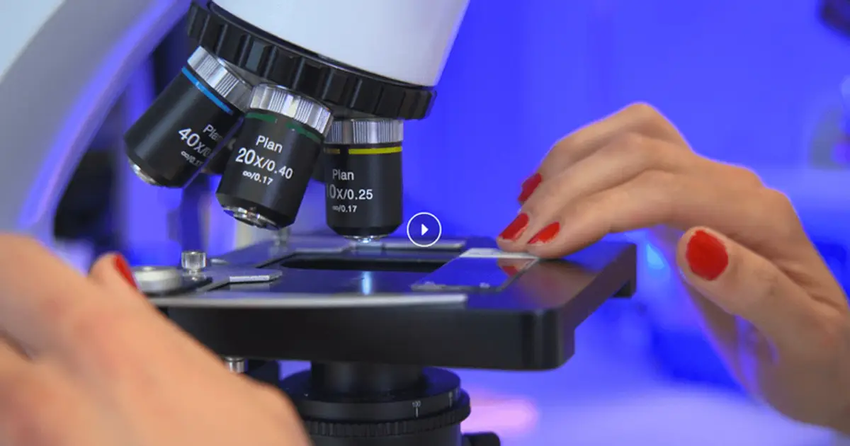 Q32 Bio Secures $55 Million Private Placement to Advance Alopecia Areata Pipeline (QTTB)