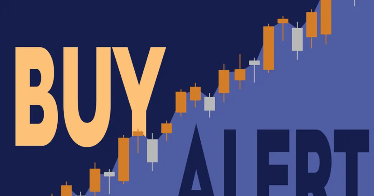 Why This Fund Made a $30 Million Bet on Floor & Decor Amid a 30% Stock Drop