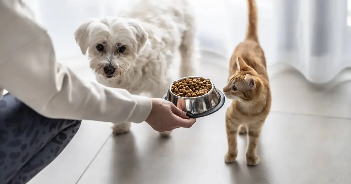 Morgan Stanley delivers blunt message to America’s pet owners