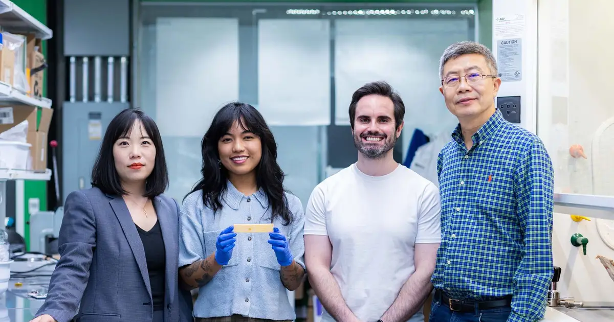 Mechanical Engineer Wood - Based Material Could Cut Energy Costs - News Center | The University of Texas at Dallas