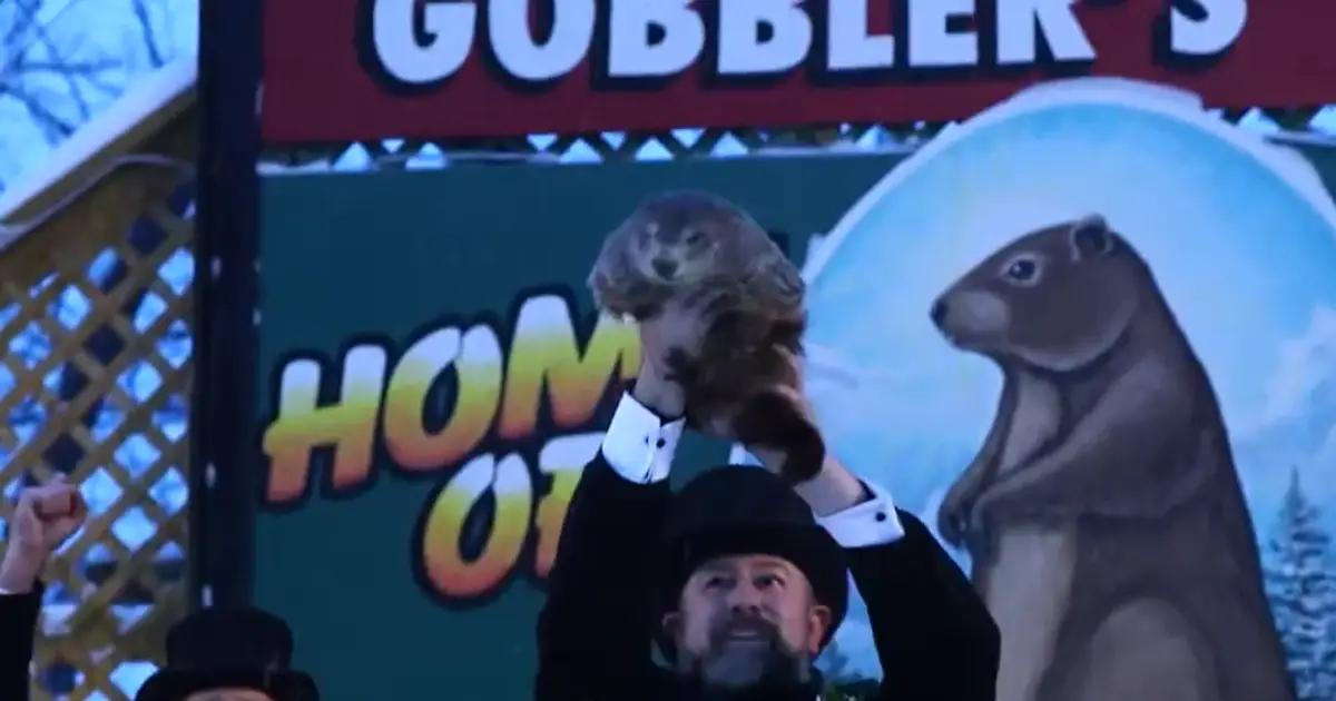 Punxsutawney Phil sees shadow , predicts six more weeks of winter