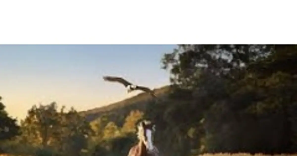Budweiser Celebrates 150 - Year Legacy in New Super Bowl LX Ad ,  American Icons