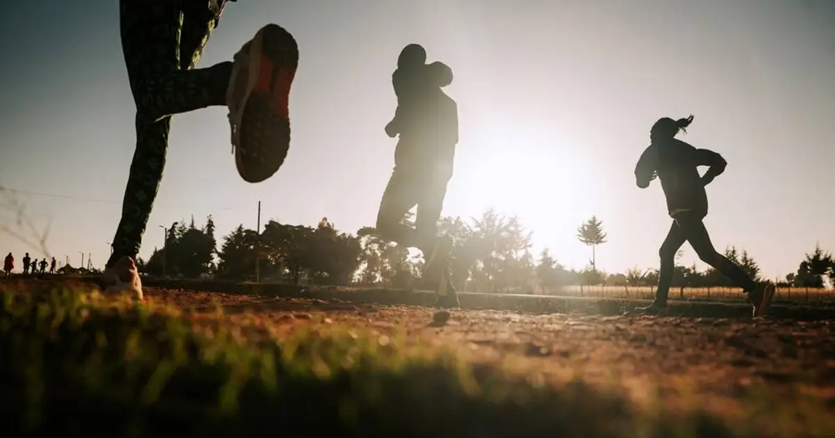 Data thieves claim they stole 1 . 4 TB from Nike and