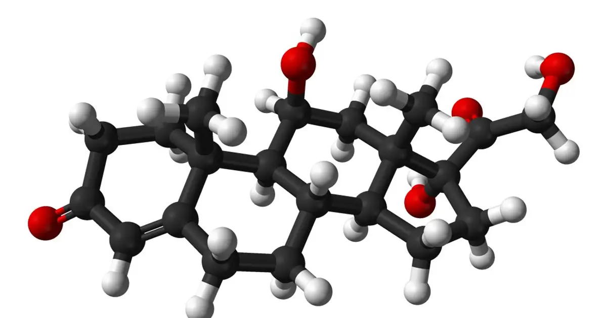 Cortisol is a reproduction friend, not enemy