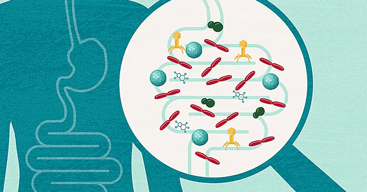 Common gut virus infects bacteria—not human cells