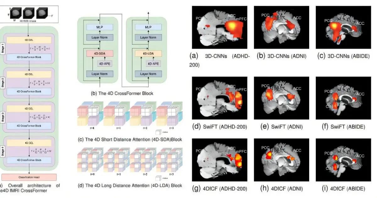 New method makes AI brain-disorder screening more transparent and computationally efficient