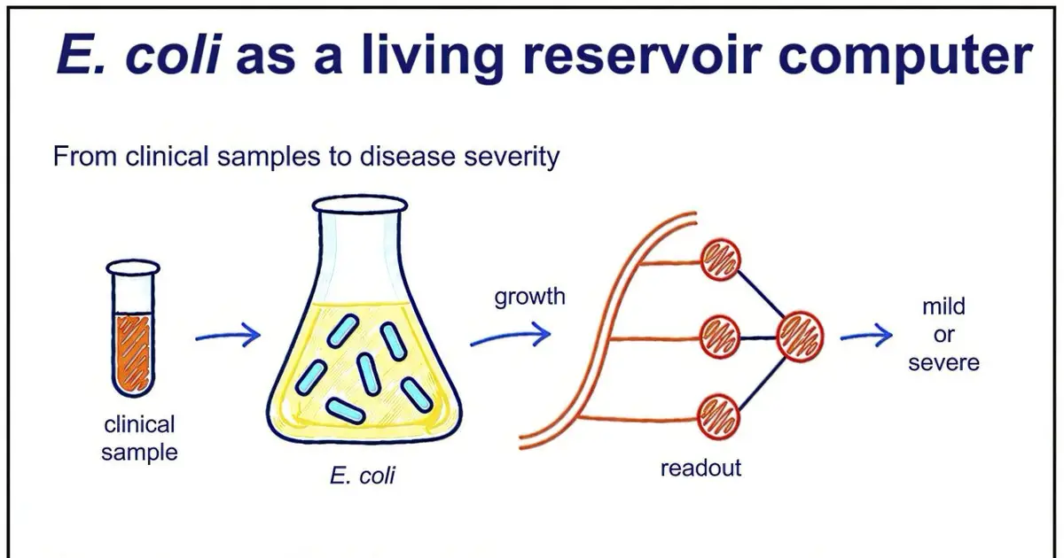 Bacterial responses to plasma may forecast mild vs severe COVID-19
