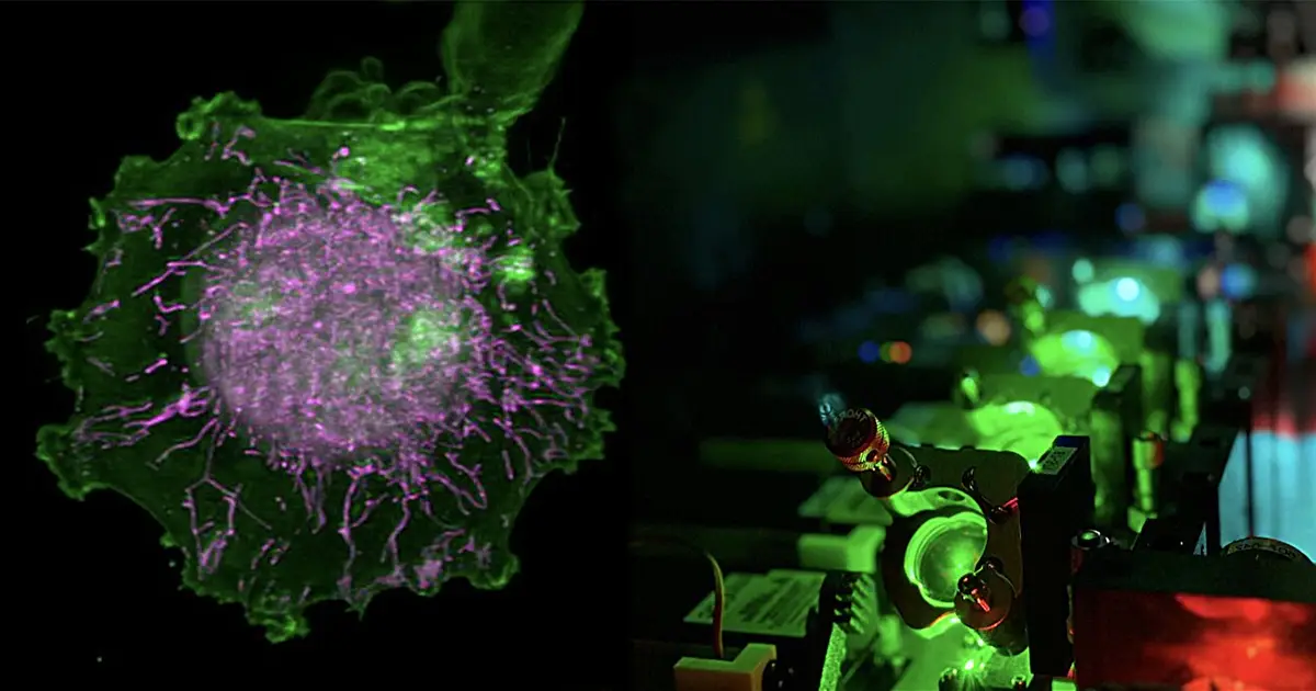 Virtual cells built from 4D AI models and 'digital twins' could speed up drug discovery