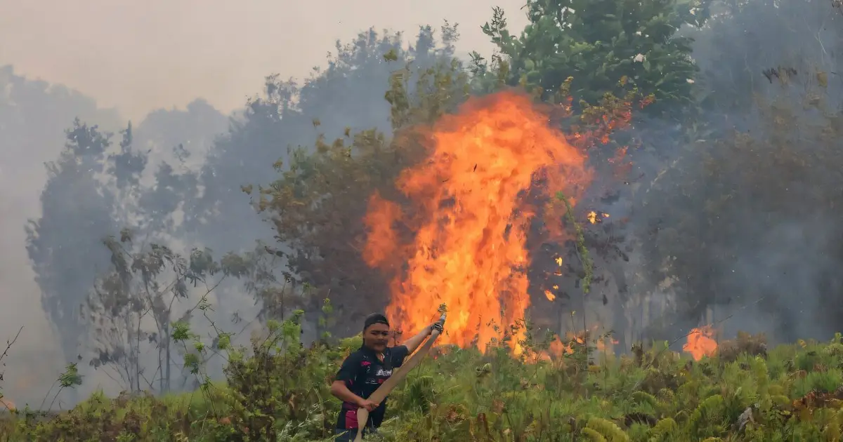Indonesia fires have burned nearly 2 million hectares: Monitor