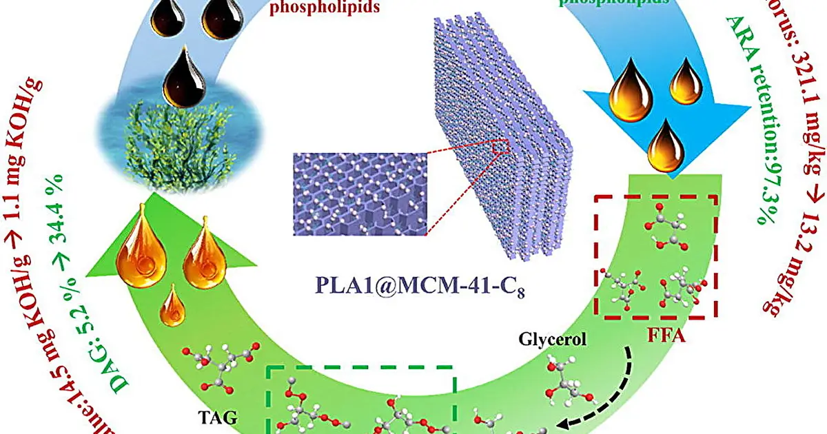 Mild enzymatic method gently refines algae oil for nutrition products