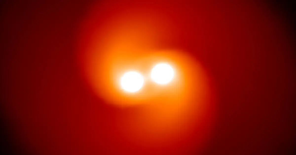 A last dance before death: Binary stars and the origins of interacting supernovae