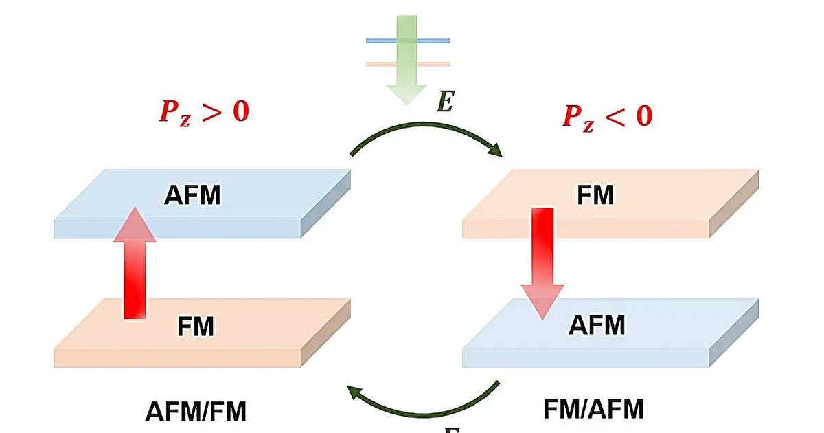 Interlayer self-doping could unlock room-temperature multiferroics in atom-thin materials