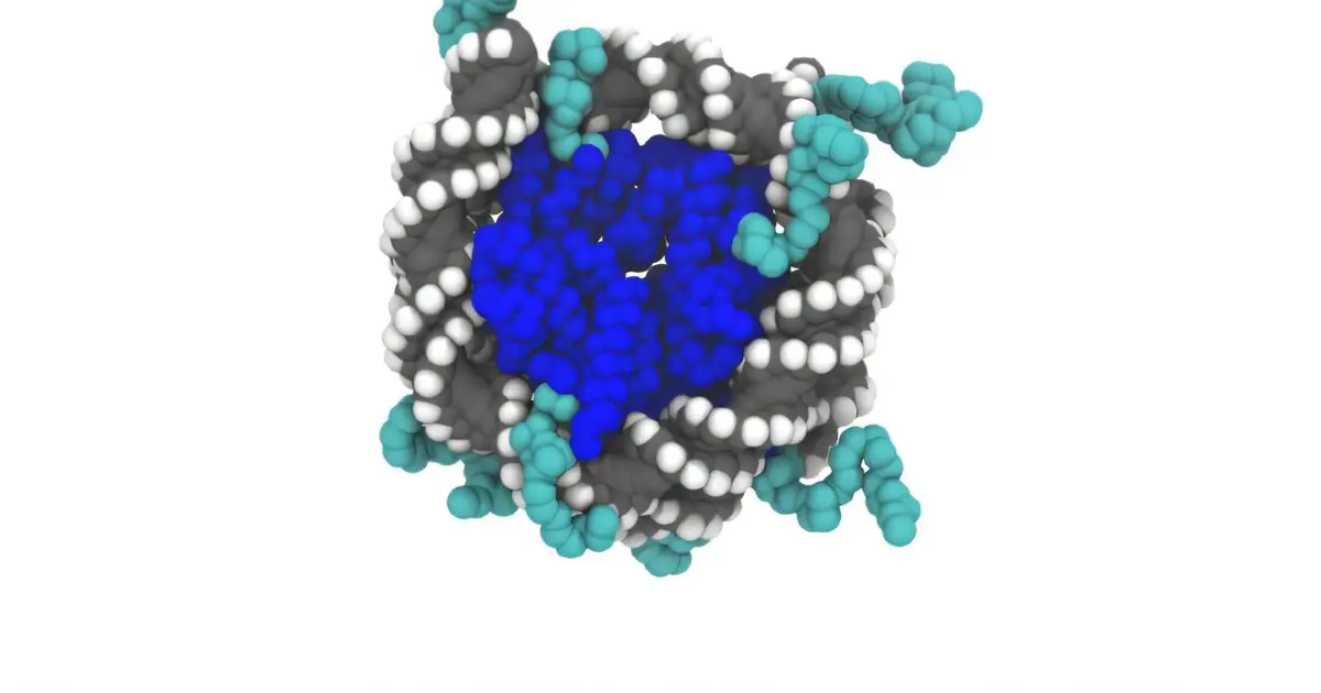New 'computational microscope' simulates DNA packaging at more than ten times previous scale