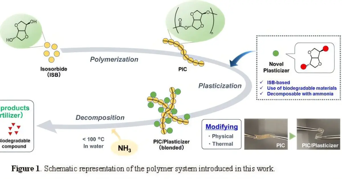Bio-based plastic turns into fertilizer after use