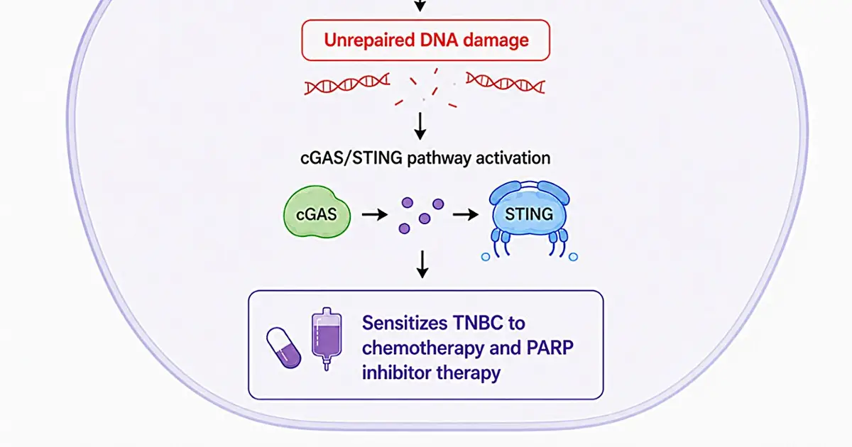 An RNA molecule contributes to therapy resistance of triple negative breast cancer