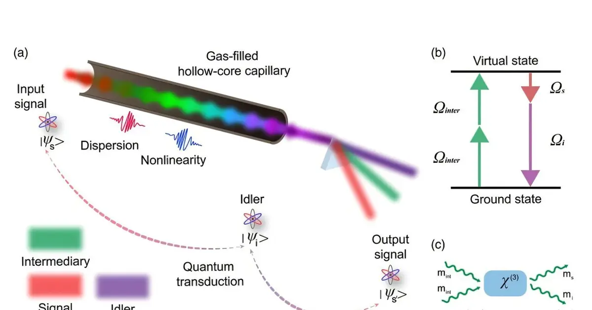 Hollow-core fiber platform could help different quantum technologies connect