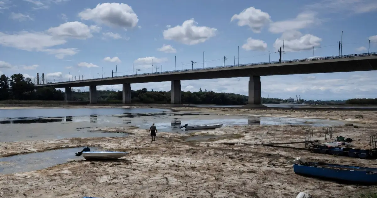 Mammoth bones found on parched bed of Danube in Bulgaria