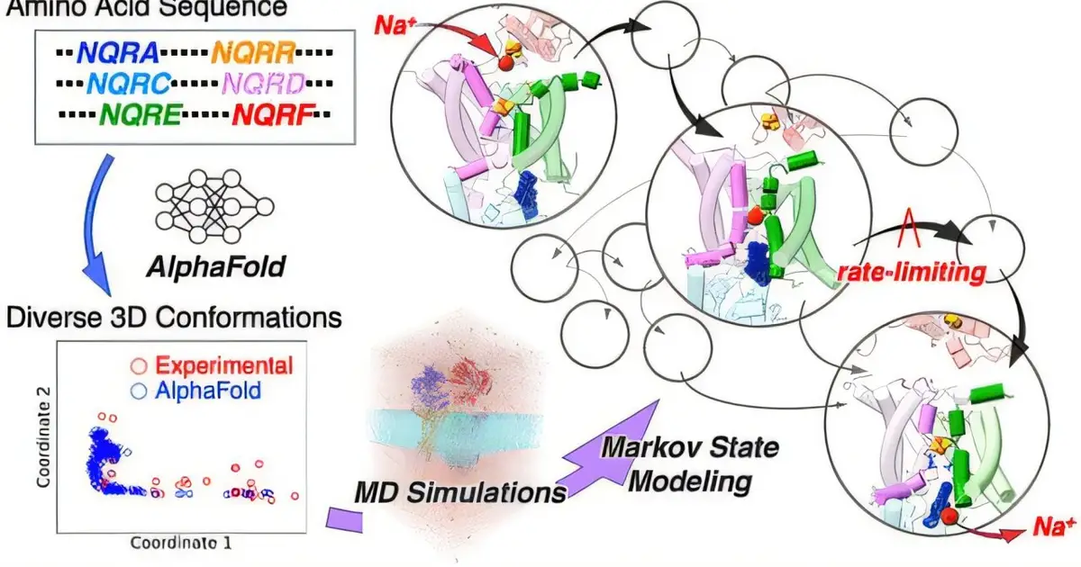 Bacterial energy enzyme reveals dual-trigger sodium pump mechanism, offering antibiotic clues