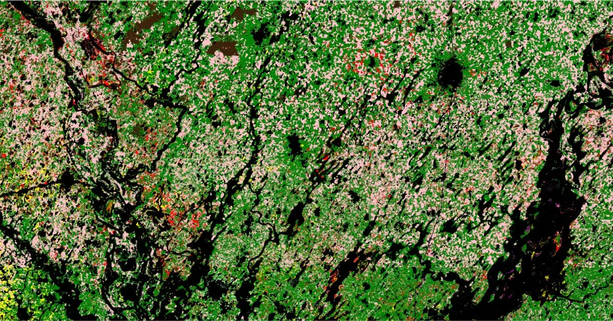 AI identifies Senegal's smallholder crops 84% of the time using limited training data