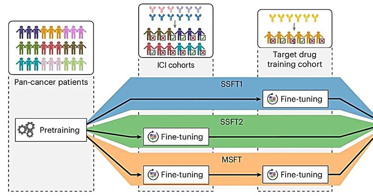 AI tool improves prediction of who will respond to cancer immunotherapy drugs
