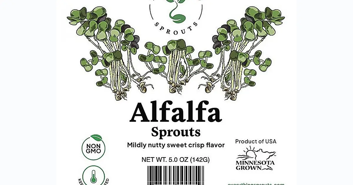 Alfalfa sprouts linked to E. coli and salmonella outbreak