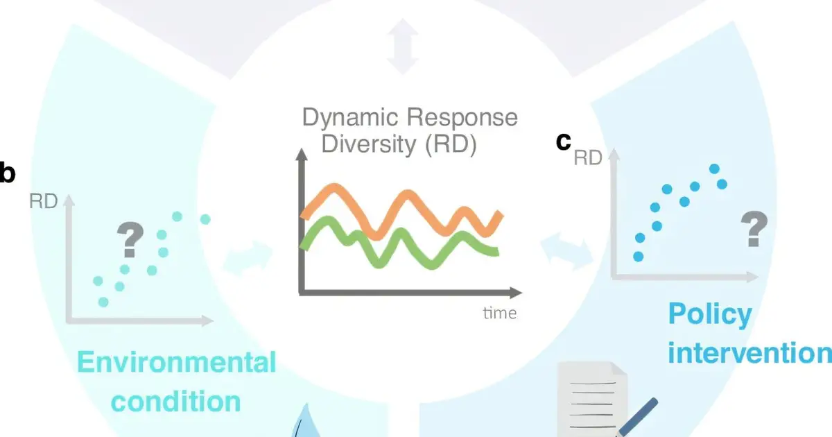 Analytical framework tracks response diversity over time, linking it to ecosystem stability