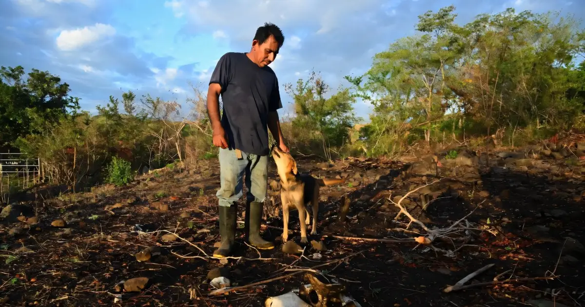 El Niño weather pattern enters record territory: Scientist