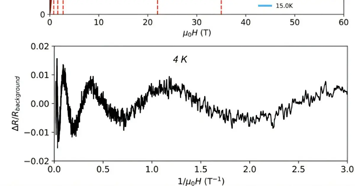 Anomalous quantum oscillations reveal new physics in a topological insulator