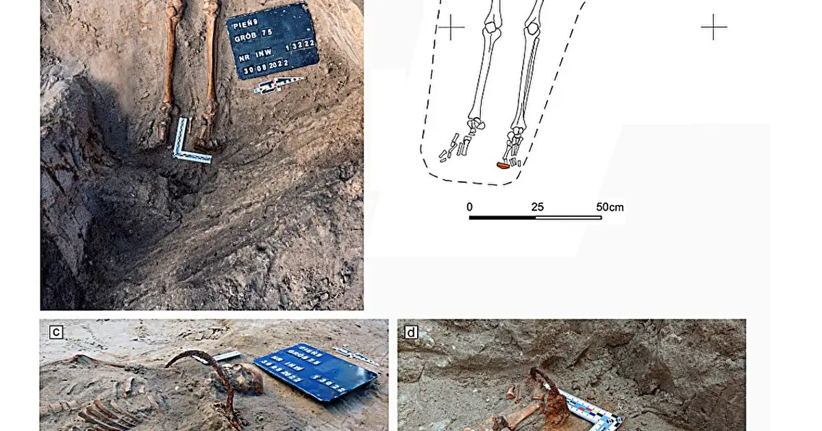 Archaeologists investigate a feared young woman's 17th century vampiric grave in Poland