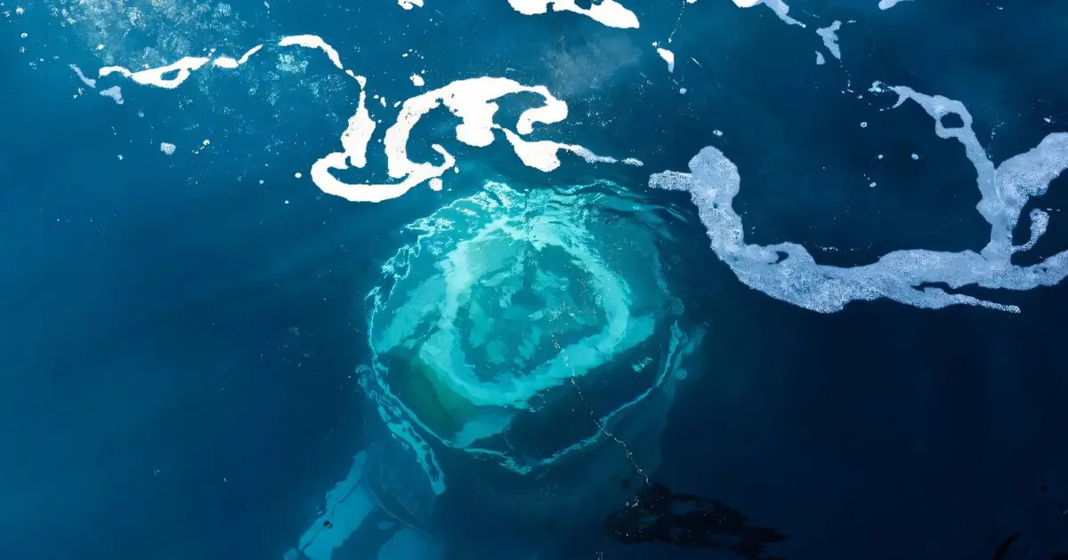 Diving robot explores mystery of France's deepest shipwreck