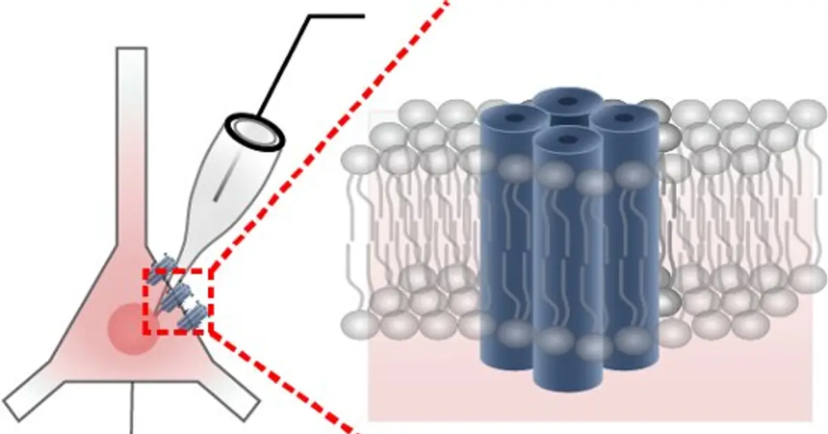Artificial DNA tiles could deliver drugs and monitor neurons non-disruptively