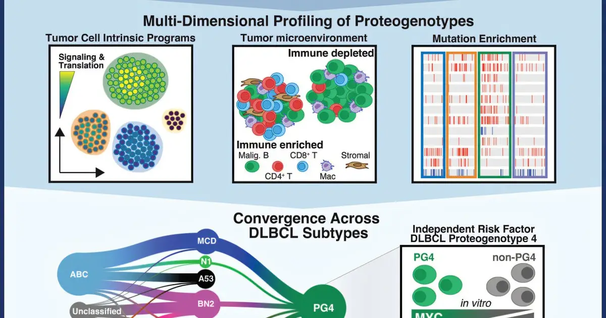 New tumor map identifies high-risk B-cell lymphoma standard therapy may miss