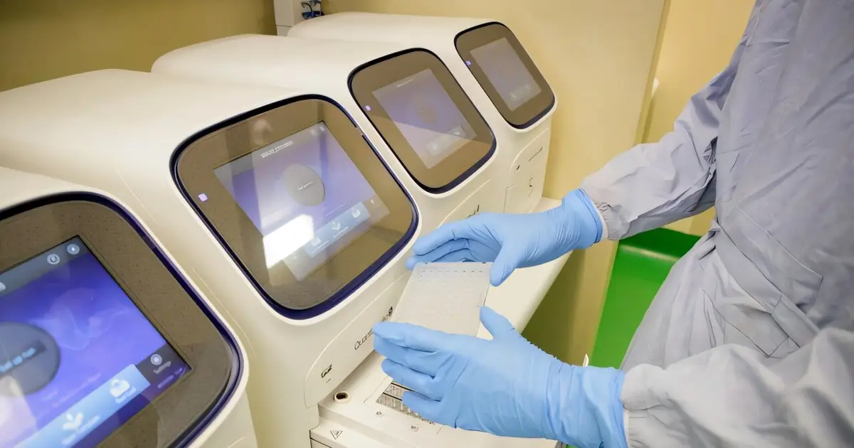 Behind the scenes: The science that confirmed Australia's first H5 bird flu case