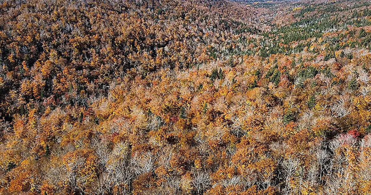 Biocultural families: Study centers Indigenous priorities in connections to environment