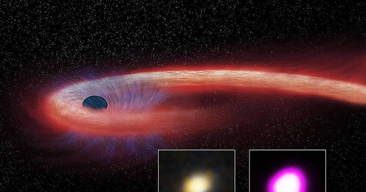 Black holes from stellar to supermassive size may follow one jet-launching rule
