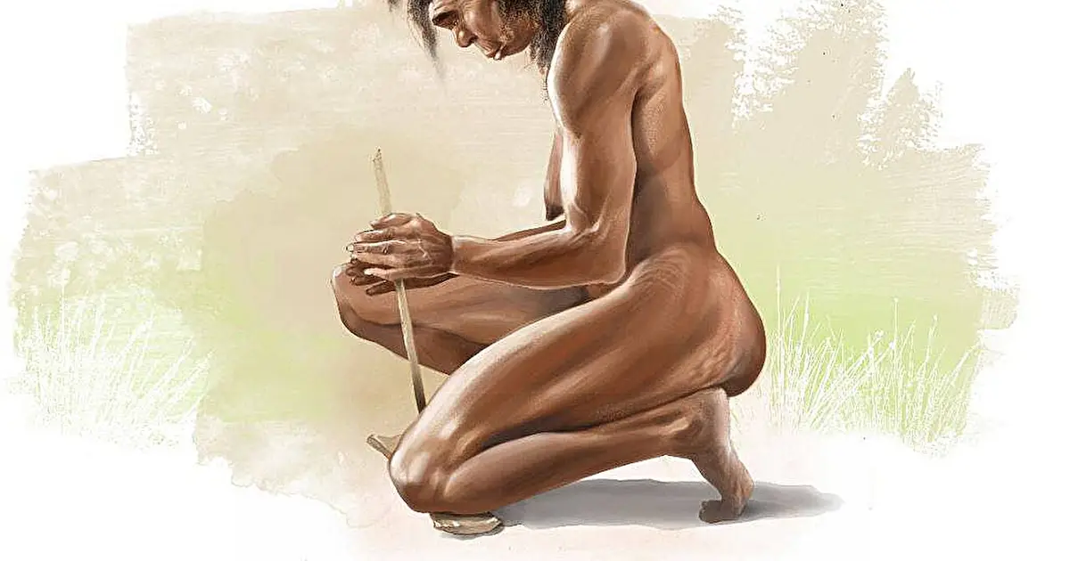 Wonderwerk Cave bones reveal possible fire use by human ancestors 1.79 million years ago
