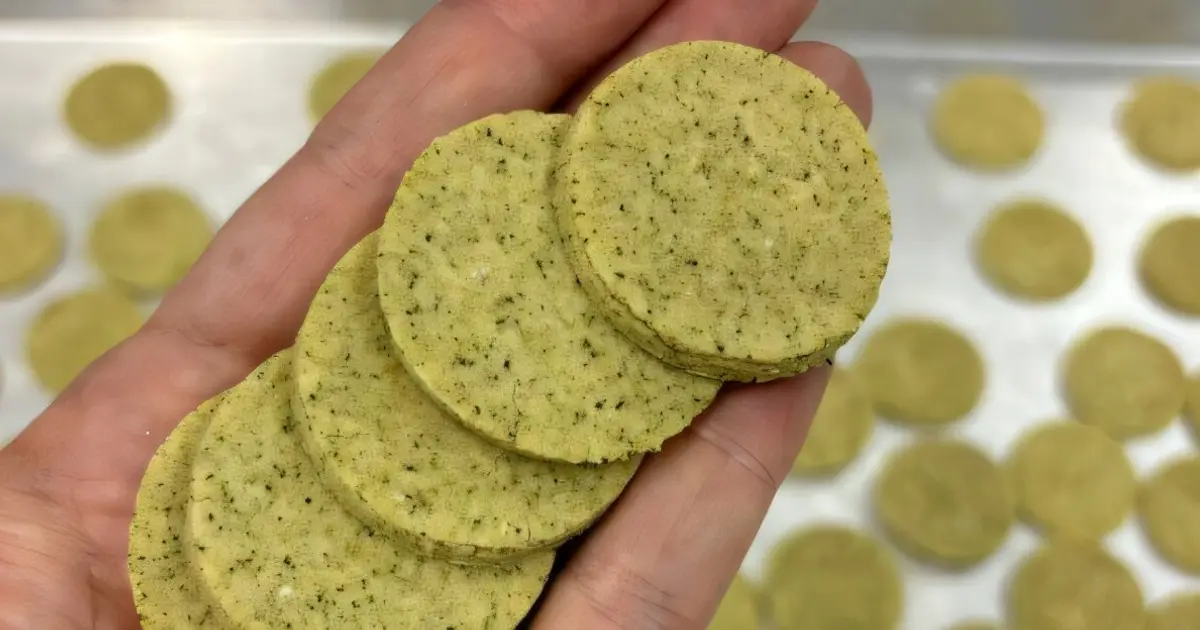 Brown seaweed flour enhances nutritional value and digestibility of gluten-free cookies