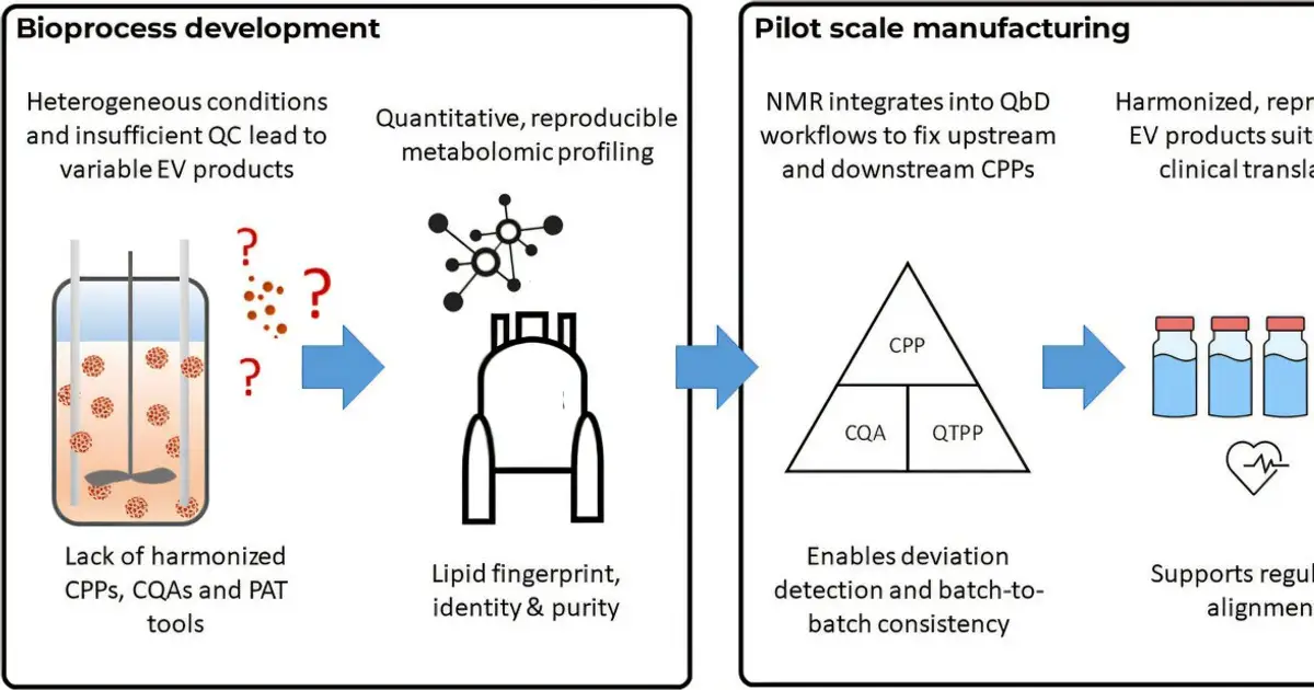 Body's own cell-to-cell messaging packets studied as the basis for next-generation medicines