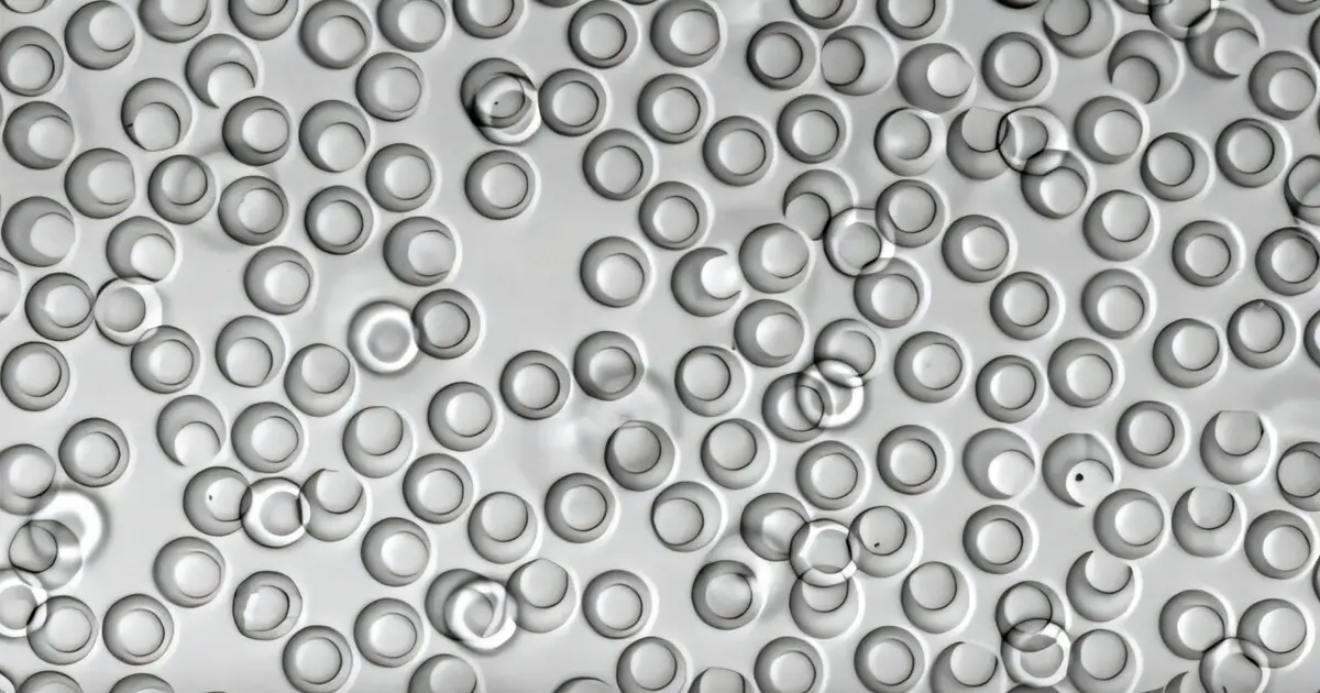 Can scientists learn cells' language? Researchers aim to decode cellular conversations