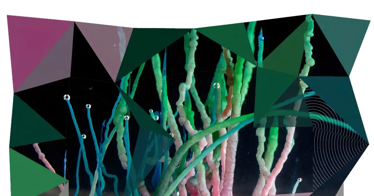Plant-like chemical gardens show how simple reactions build complex structures