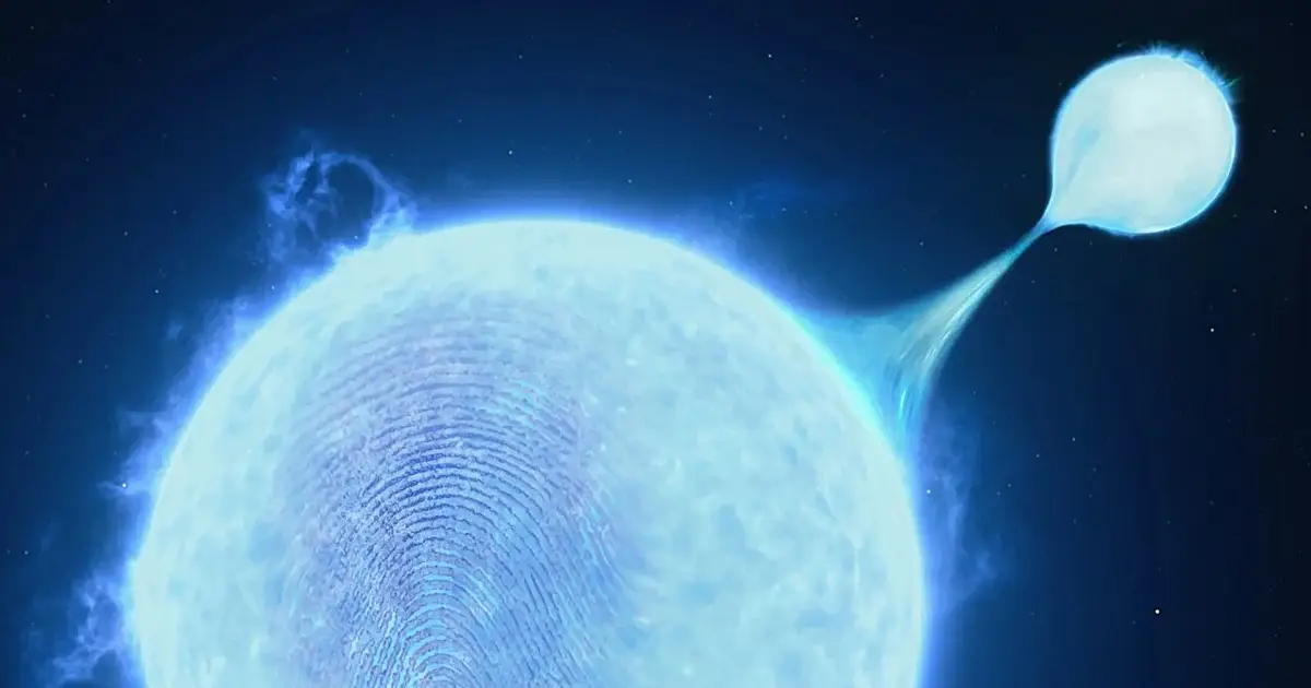 Chemical fingerprints reveal hidden binary pasts of massive stars