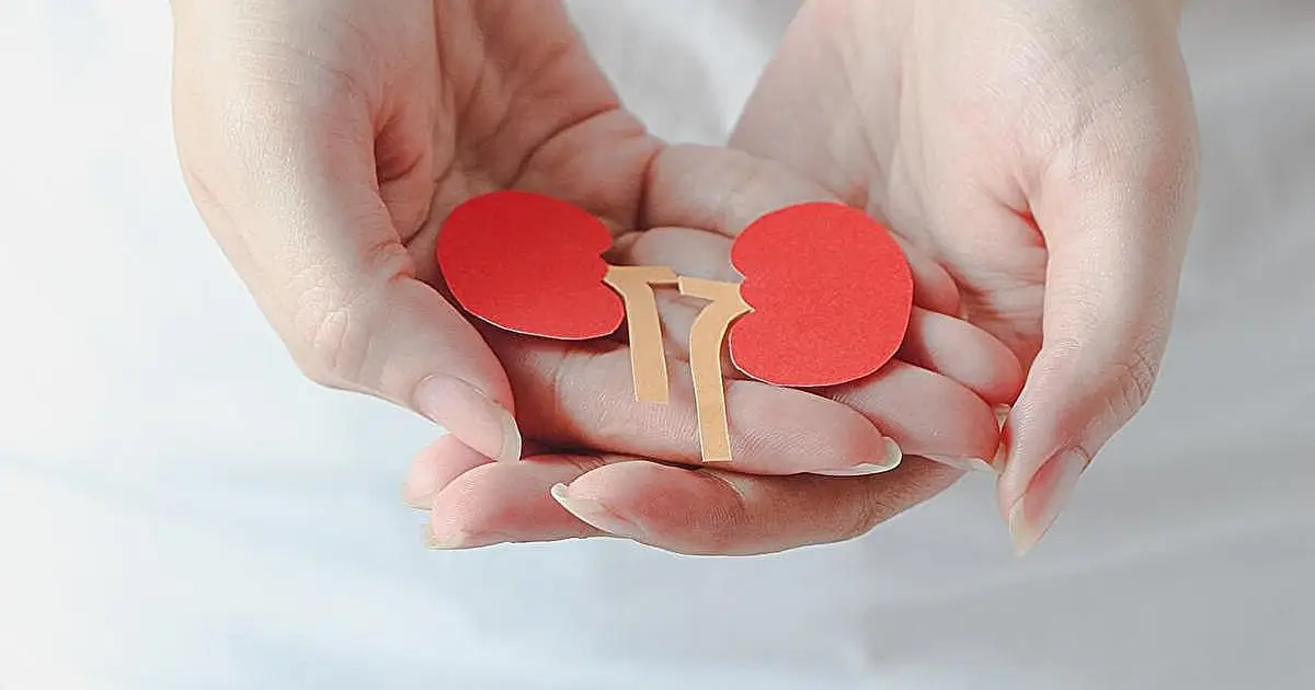 Cognitive impairment linked to worse outcomes in chronic kidney disease