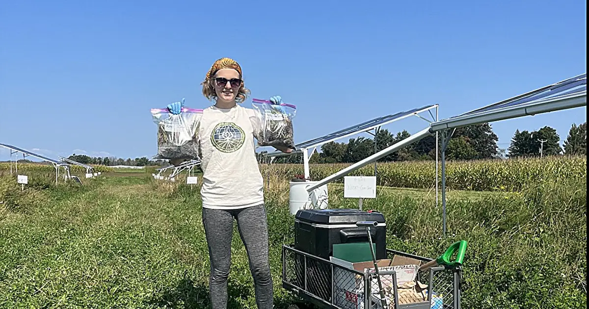 Crop diversity and perennial grains could strengthen soil health under climate stress, study finds