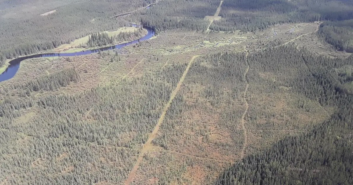 Damaged boreal peatlands may triple methane emissions, reshaping climate risk