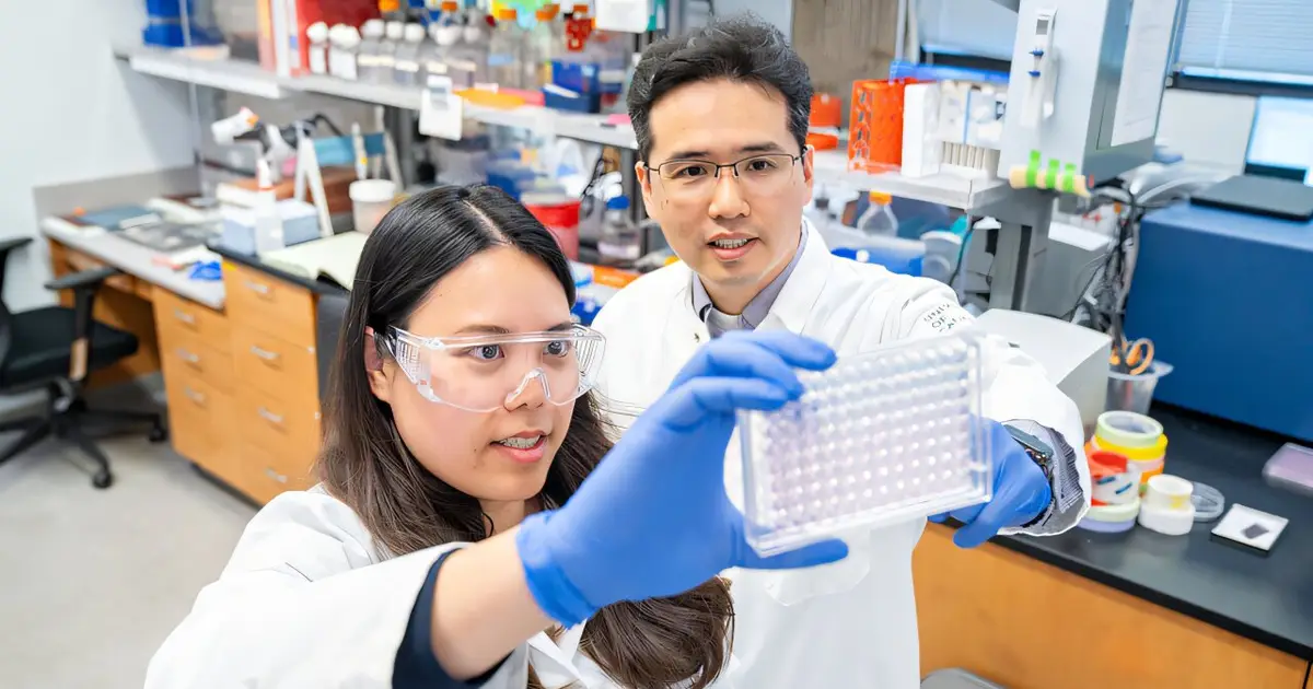 Discovery could help prevent cancer drug resistance before it starts
