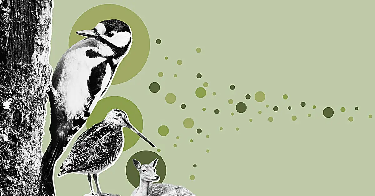 DNA vacuum captures animal traces from air to map Danish wildlife
