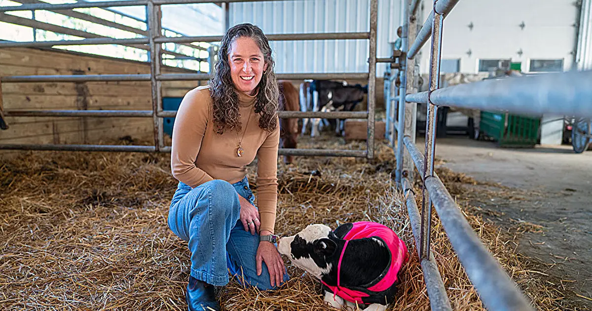 Virus that sickens cows, kills deer still rare in New York state—for now